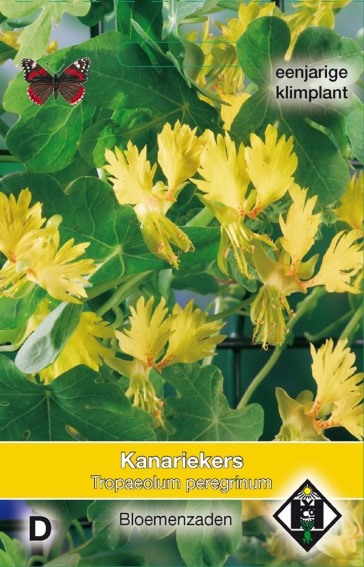 Canary-creeper (Tropaeolum peregrinum) 45 seeds HE